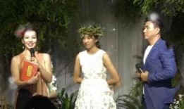 胡军被爆料夫妻吵架视频,家庭矛盾引发网友热议