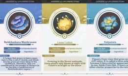 怎么看到原神最新爆料,探索神秘新世界与角色